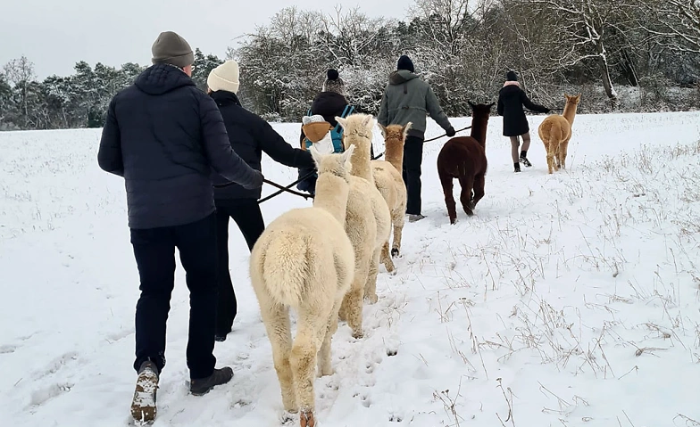 Event-Image for 'Alpaka-Glühweinwanderung, 2 Pers.'