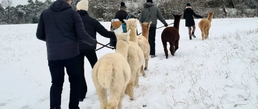 Event-Image for 'Alpaka-Gl&uuml;hweinwanderung, 2 Pers.'