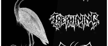 Event-Image for 'Graureiher (AT) // Trephining (CH) // Connector (CH)'