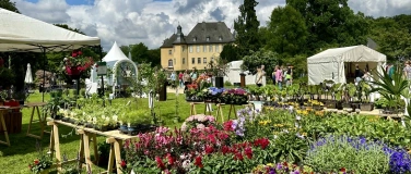 Event-Image for 'Gartenlust in Schloss Dyck'