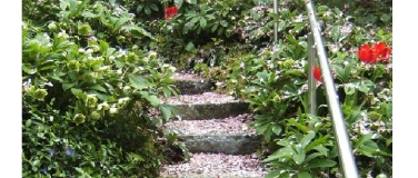 Event-Image for 'Aufbruch zu mir - in's Leben!'