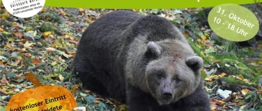 Event-Image for 'Halloween im Bärenpark'