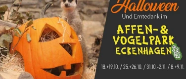 Event-Image for 'Halloween und Erntedank im Affen- und Vogelpark Eckenhagen'