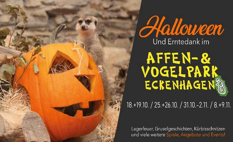 Event-Image for 'Halloween und Erntedank im Affen- und Vogelpark Eckenhagen'