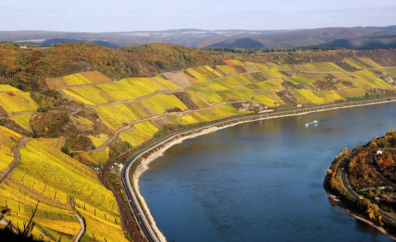 Event-Image for 'Geführte Wanderung zum Rieslingbrunch'