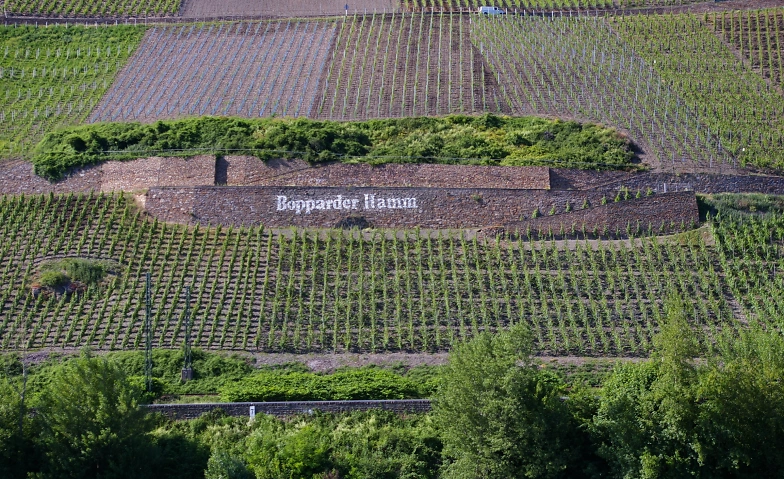 Event-Image for 'Geführte Wanderung zur Mandelsteinhütte'