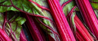 Event-Image for 'Cuisine ouverte : Vive la rhubarbe'