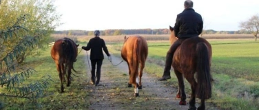 Event-Image for 'Aufbruch zu neuen Ufern - Eine Heldenreise mit Pferden'