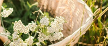 Event-Image for 'Heilkr&auml;uter vor der Haust&uuml;r - Kr&auml;uterspaziergang'