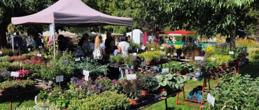 Event-Image for 'Herbstgartenmarkt'