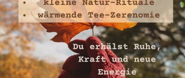 Event-Image for 'Stark durch den Herbst- Waldbaden als Immunbooster'