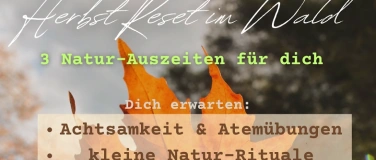 Event-Image for 'Licht tanken im Wald – innere Ruhe vor der Adventszeit'