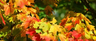 Event-Image for 'Filmabend: Macht Leid Sinn?'