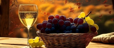 Event-Image for 'Weinprobe im Sch&auml;ferberg - Herbst- & Winterweine'
