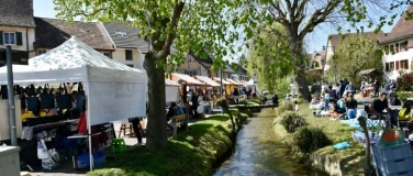 Event-Image for 'Herbstmarkt'