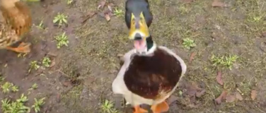 Event-Image for 'Heroische Permanenz'