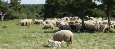 Event-Image for 'Besuch beim Sch&auml;fer'
