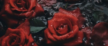 Event-Image for 'Dark Temptation - Valentinstag Dinner'