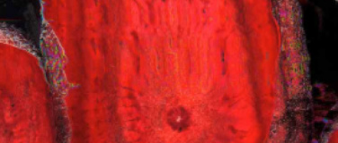 Event-Image for 'Hitparaden Party &ndash; Silverster Edition'