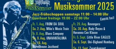 Event-Image for 'Homburger Musiksommer im August & September'