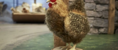 Event-Image for 'Familiennachmittag'