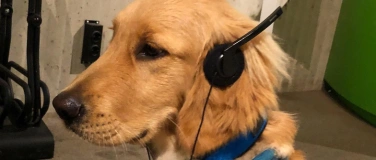 Event-Image for 'Doggy Day'