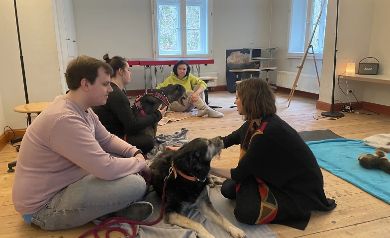 Event-Image for 'Hundemassage Workshop'