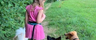 Event-Image for 'Lerne den sicheren Umgang mit Hunden, Gruppe 2 (3006 Bern)'