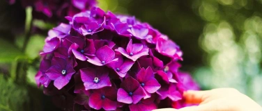 Event-Image for 'YOGA & NATUR'