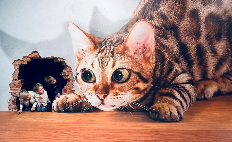 Event-Image for 'Illusionswelt Ausstellung bei Dresden'