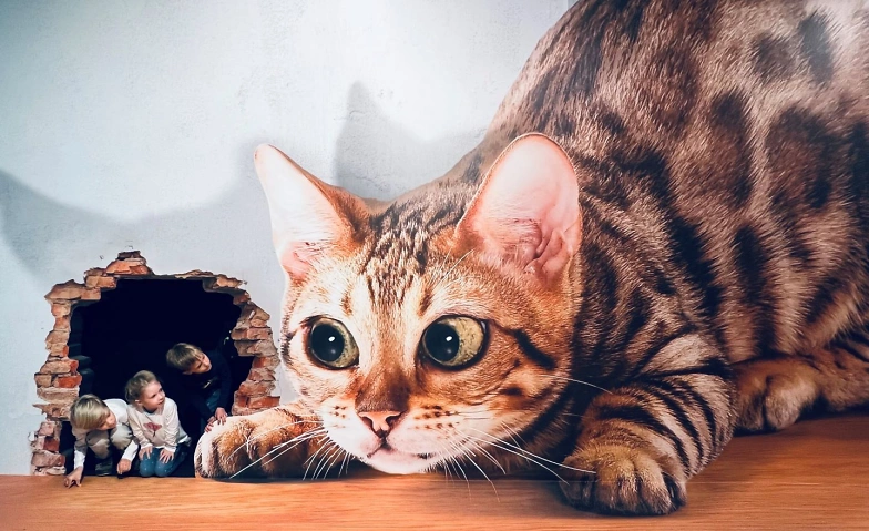 Event-Image for 'Illusionswelt Ausstellung bei Dresden'