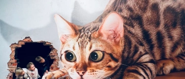 Event-Image for 'Illusionswelt Ausstellung bei Dresden'