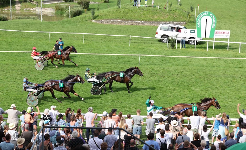 ARV Pferderennen 2025, 2. Renntag (GP des Kt. Aargau) Tickets