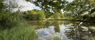 Event-Image for 'Fr&uuml;hmorgendliche S&auml;ngeli-Exkursion'