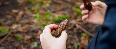 Event-Image for 'Nester in Hecken und Nischen. Eine Forschungsreise'