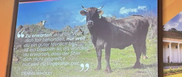 Event-Image for 'Health & Wealth Event! Zur&uuml;ck zu deiner nat&uuml;rlichen Balance'