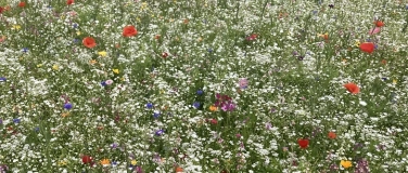 Event-Image for 'Integration durch Arbeit'