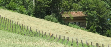 Event-Image for 'Solothurner Sperrstellen und Bunker im 20. Jahrhundert'