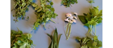 Event-Image for 'Essbares Fr&uuml;hlingsgr&uuml;n'