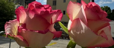 Event-Image for 'Rosenmarkt'