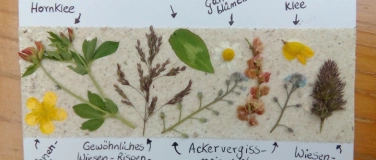 Event-Image for 'Kr&auml;uterwanderung und Maibowle'