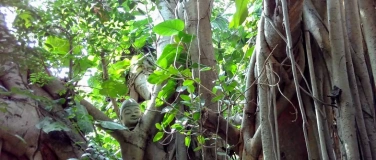 Event-Image for 'Stressbew&auml;ltigung - MBSR 8-Wochenkurs'