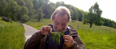 Event-Image for 'Essbaren Wildpflanzen begegnen'
