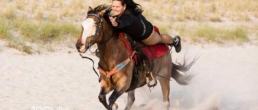 Event-Image for 'Action-Show mit Pferden'