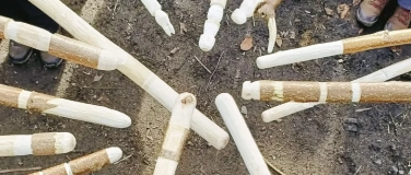 Event-Image for 'Zauberst&auml;beSchnitzkurs f&uuml;r Familien- Zauberhaftes Wochenende'