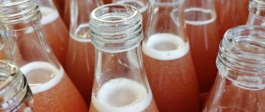 Event-Image for 'Erfrischende Fermentation: Kombucha & Ginger Bug'