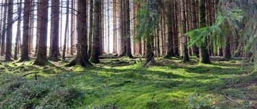 Event-Image for 'Achtsamkeitswanderung - Wandern für die Seele'