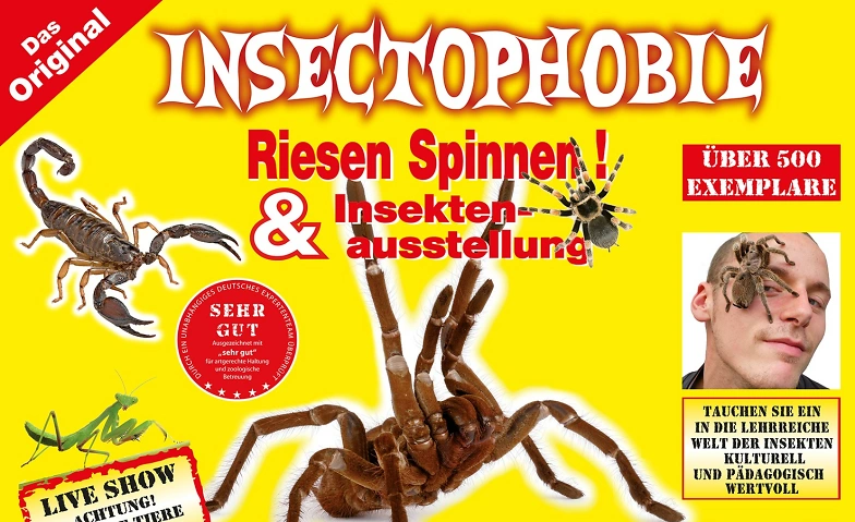Event-Image for 'Insectophobie Riesen Spinnen & Insekten Ausstellung'