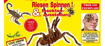 Event organiser of Insectophobie Riesen Spinnen & Insekten Ausstellung