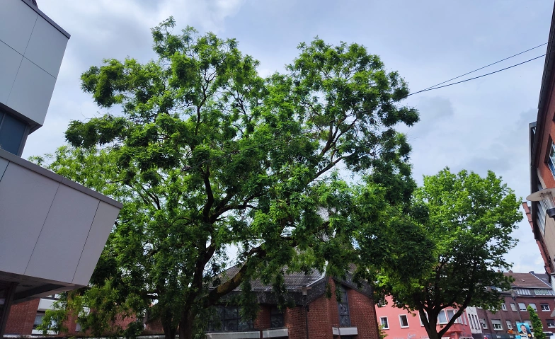 Event-Image for 'Stadtnatur im Alltag'